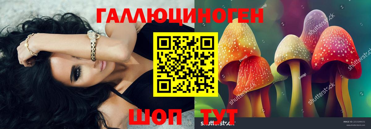 купить наркотик  Галлюциногенные грибы Psilocybine cubensis  Вход с VPN  Севастополь 